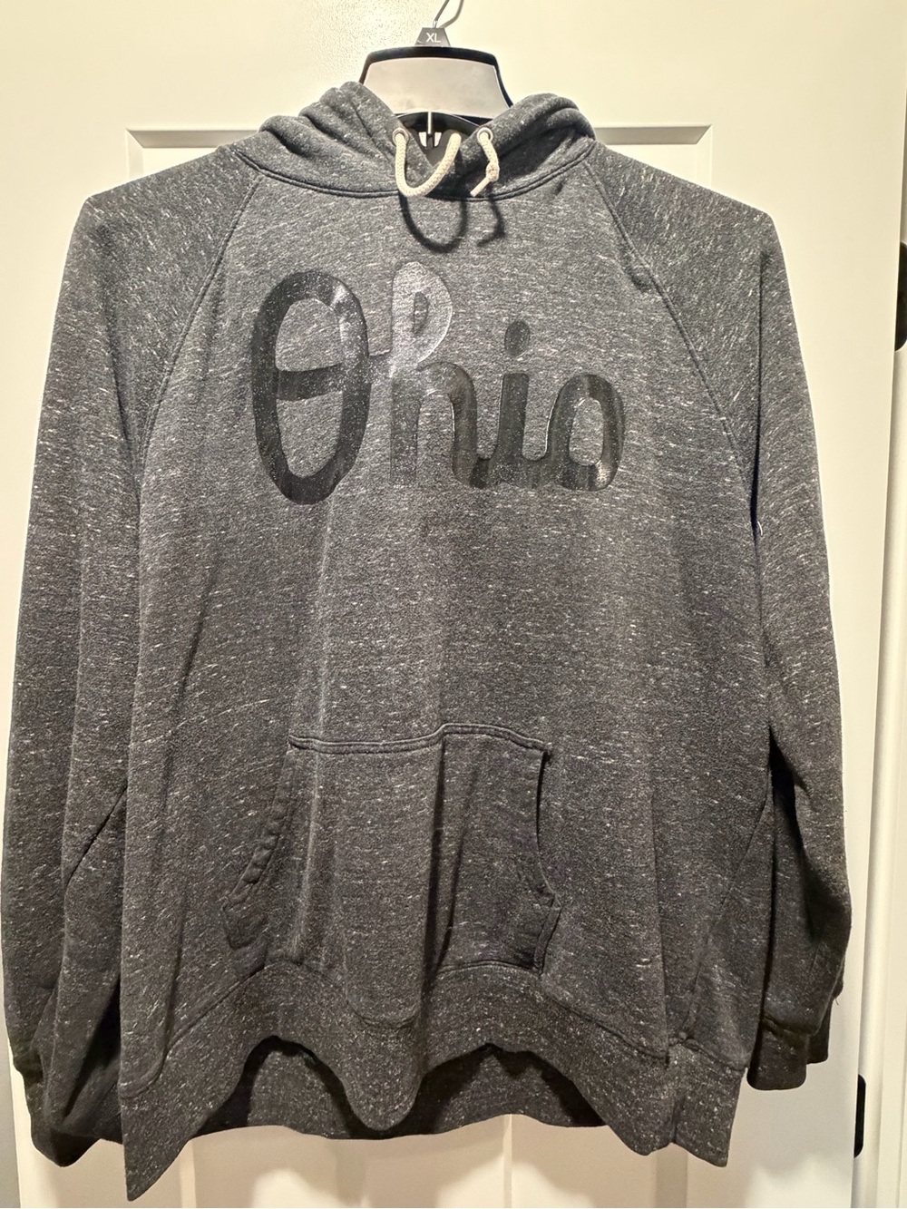 Ohio Graphic Hooded Sweatshirt - Gray